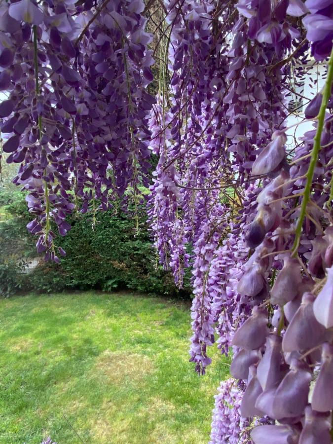 B&B Fior Di Toscana Serravalle Pistoiese Zewnętrze zdjęcie