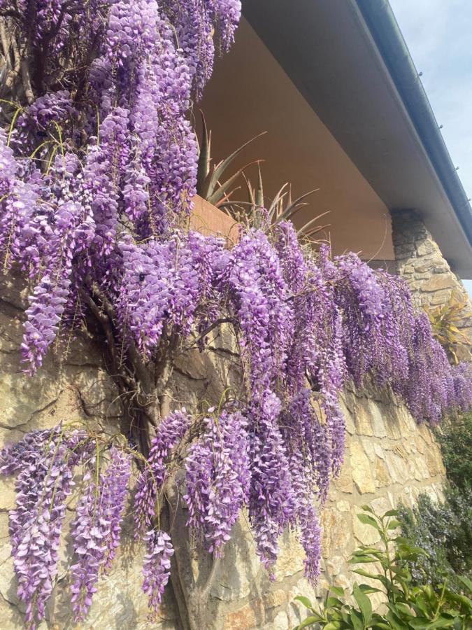 B&B Fior Di Toscana Serravalle Pistoiese Zewnętrze zdjęcie